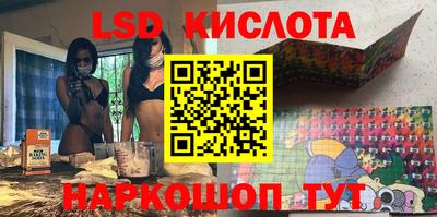 прущие грибы Камышлов
