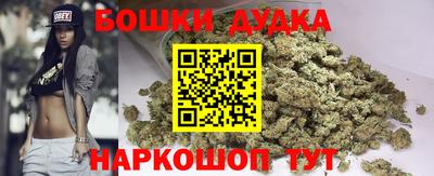 прущие грибы Камышлов