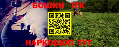 прущие грибы Камышлов