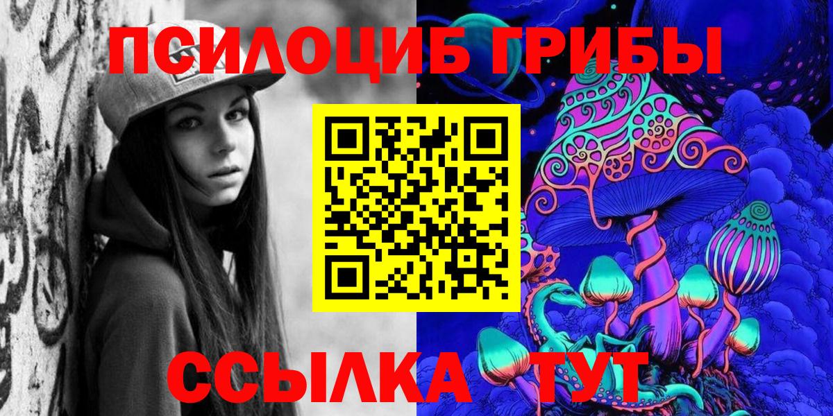 Ленинск-Кузнецкий  Псилоцибиновые грибы MAGIC MUSHROOMS  Вход с VPN 