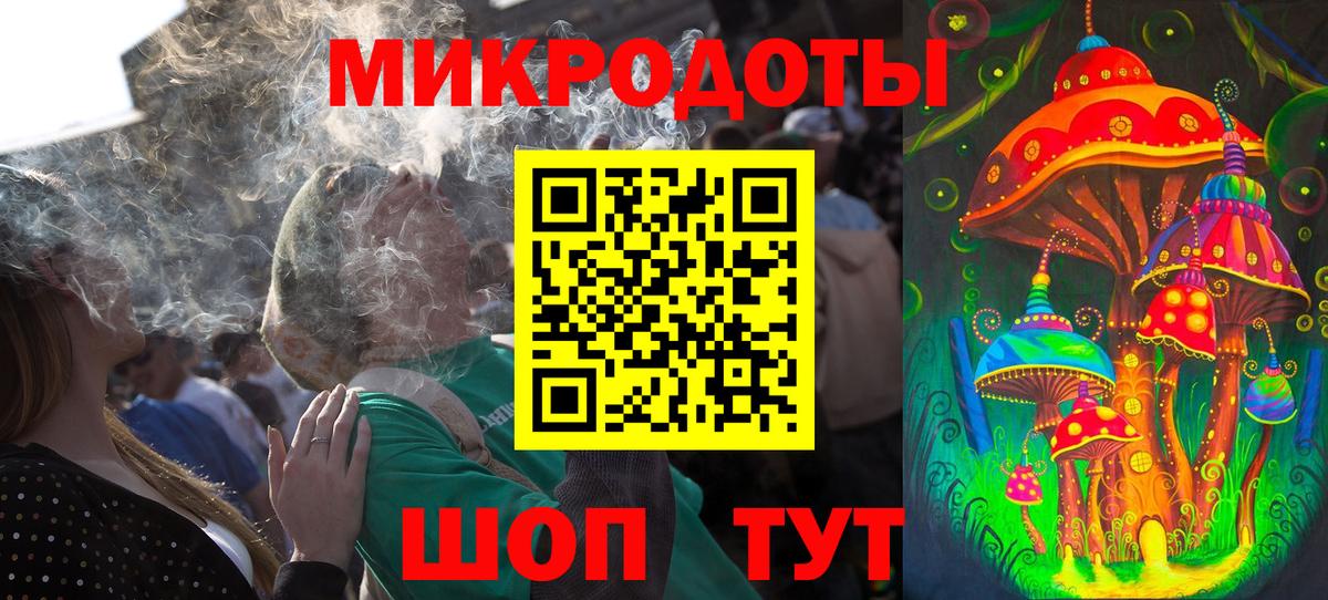 Псилоцибиновые грибы Psilocybine cubensis Ленинск-Кузнецкий